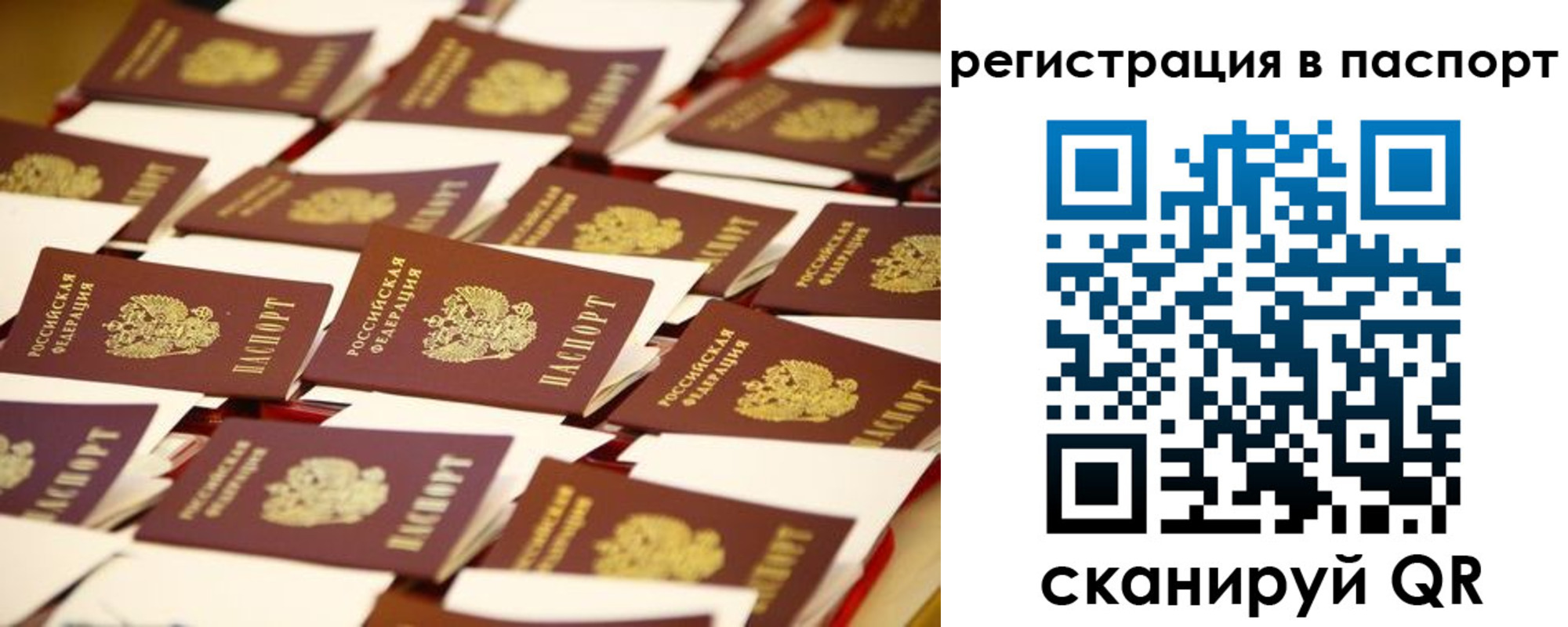прописка гарантия в Чудово